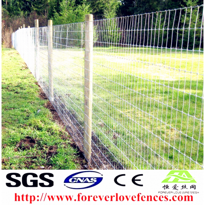 China manufacture high quality farm fence electric netting fence cattle fence used